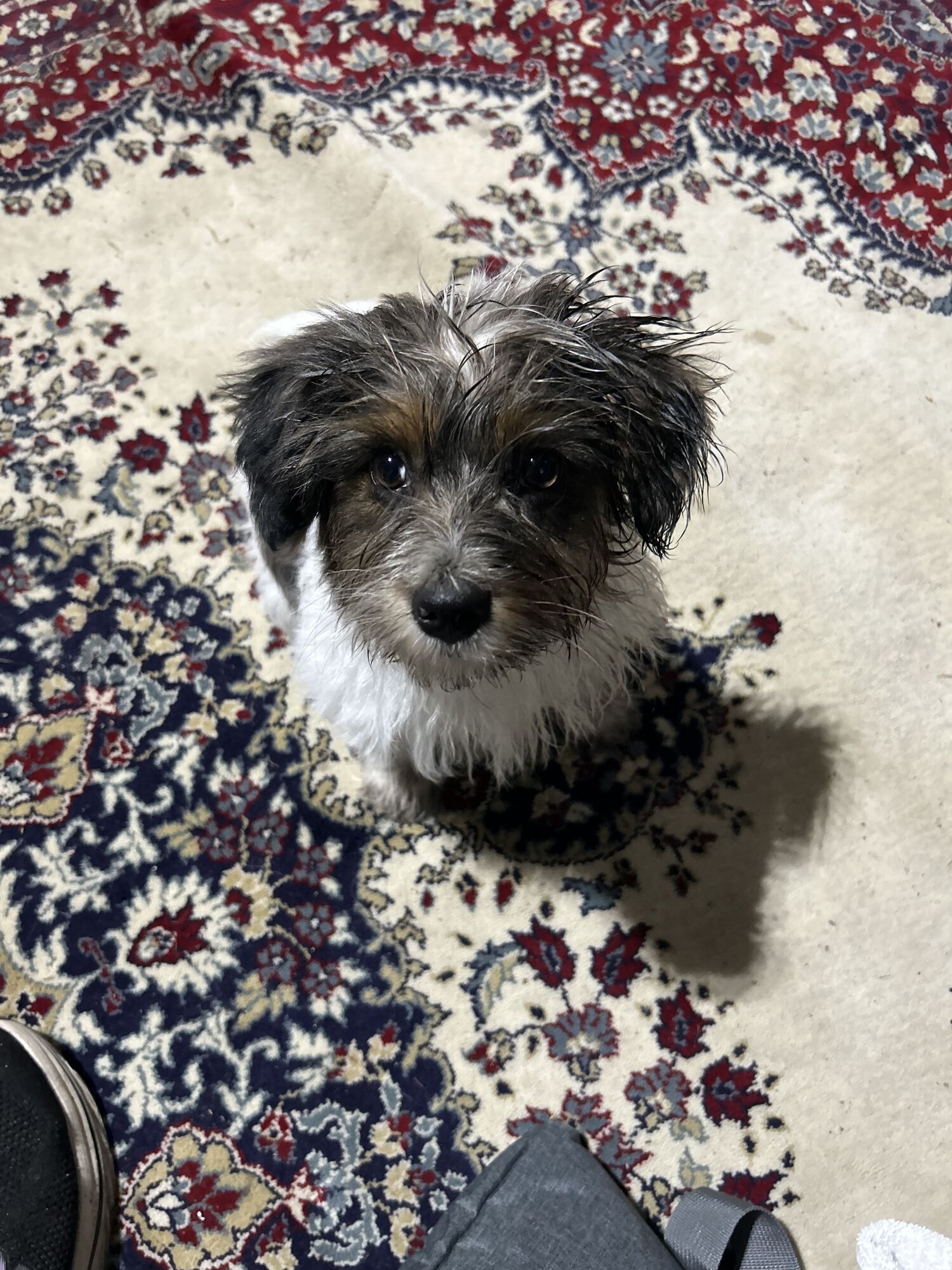 One happy and dirty face