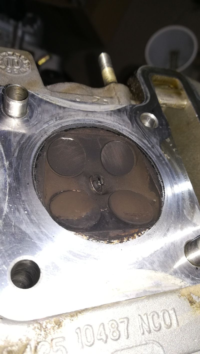 Forum member supplied image with no explanatory text