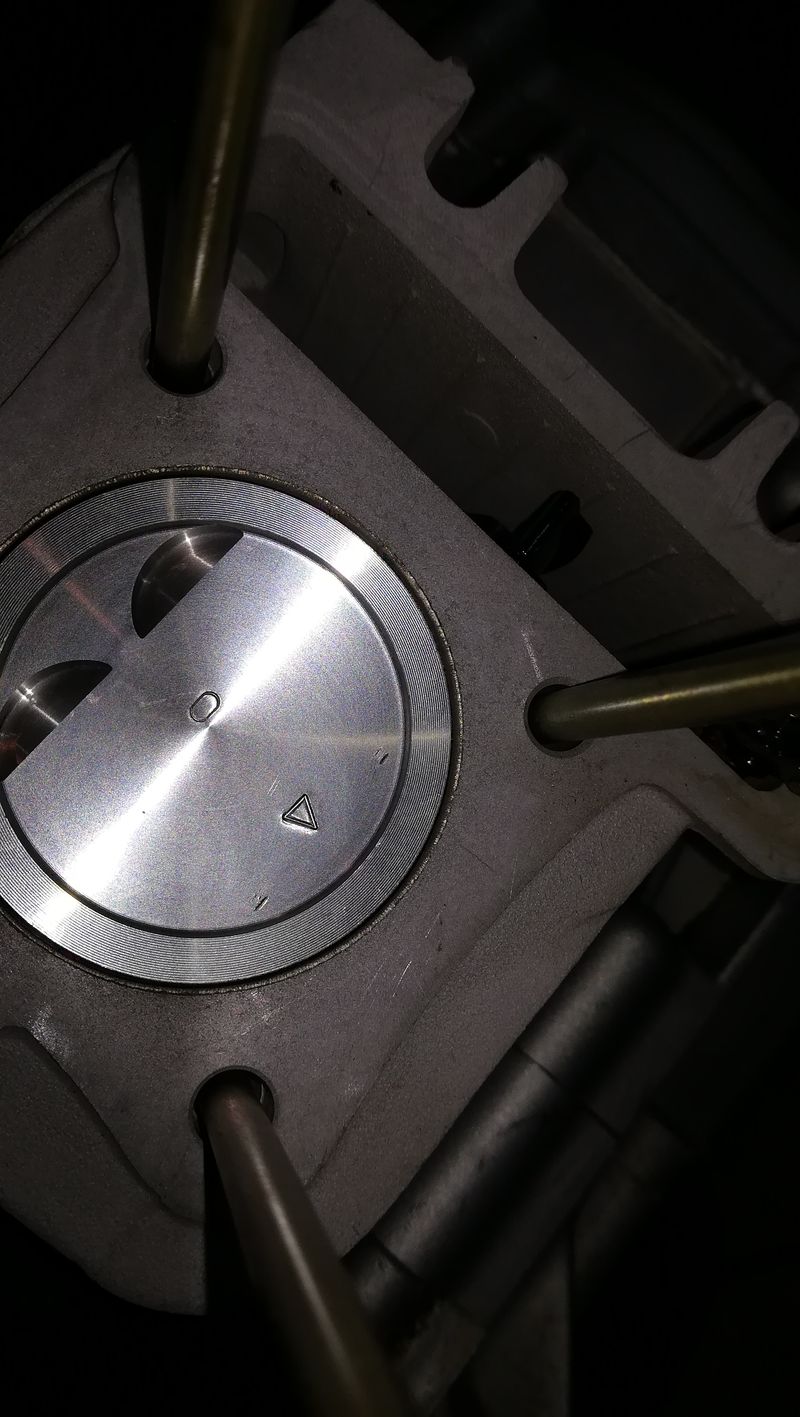 Forum member supplied image with no explanatory text