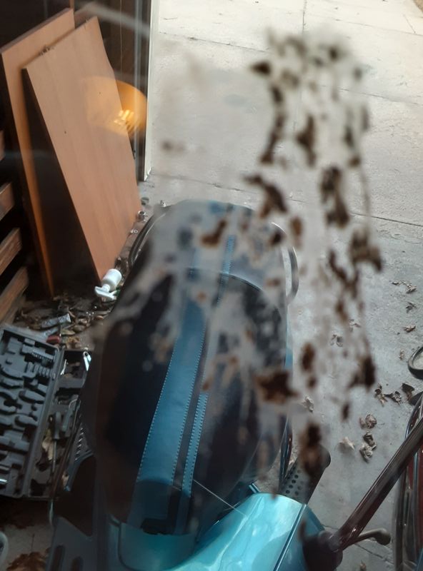Forum member supplied image with no explanatory text