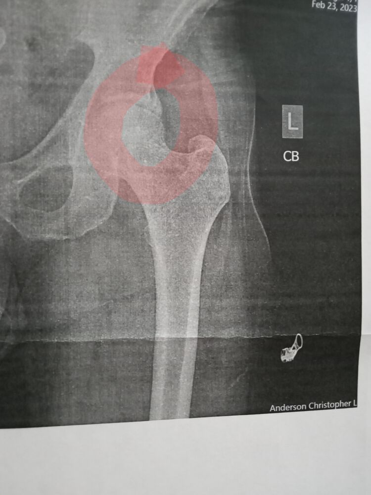 Forum member supplied image with no explanatory text