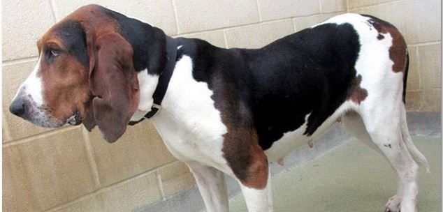 Forum member supplied image with no explanatory text