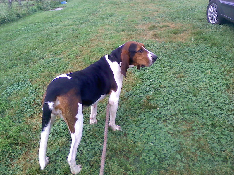 Forum member supplied image with no explanatory text