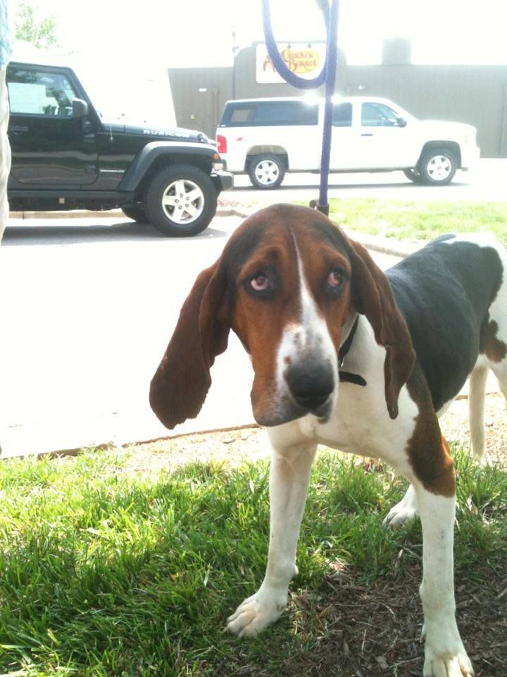 Forum member supplied image with no explanatory text