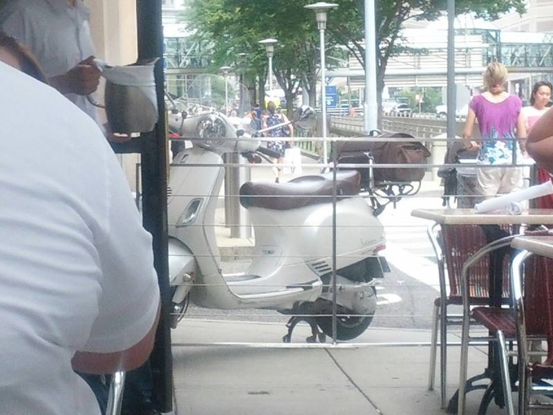 Forum member supplied image with no explanatory text