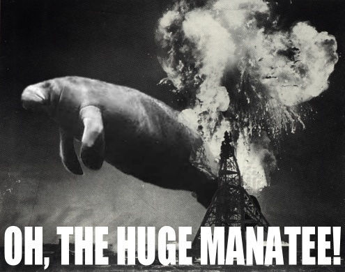 Forum member supplied image with no explanatory text