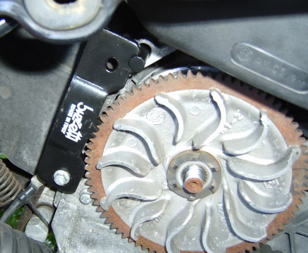 Forum member supplied image with no explanatory text