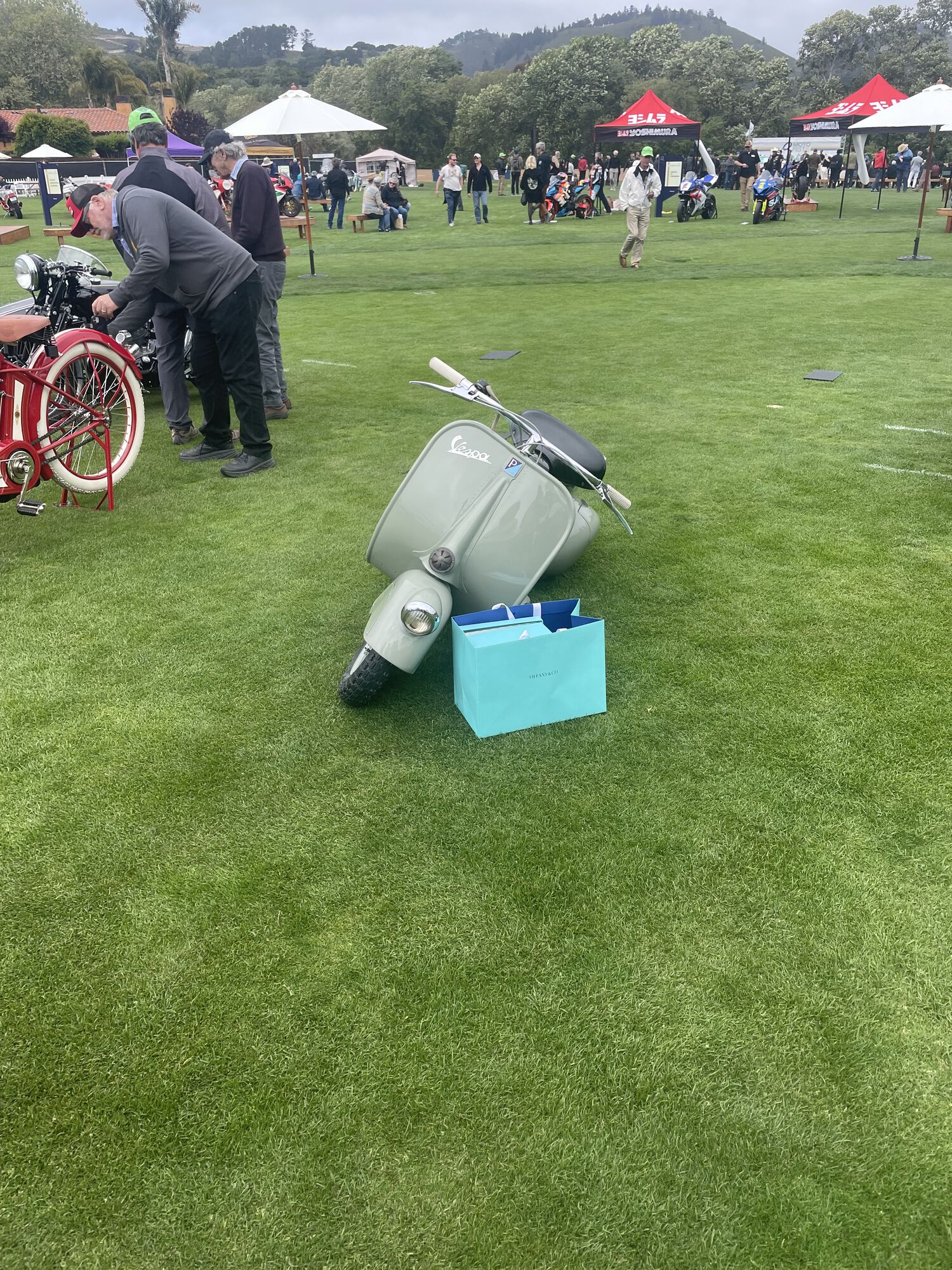 Forum member supplied image with no explanatory text