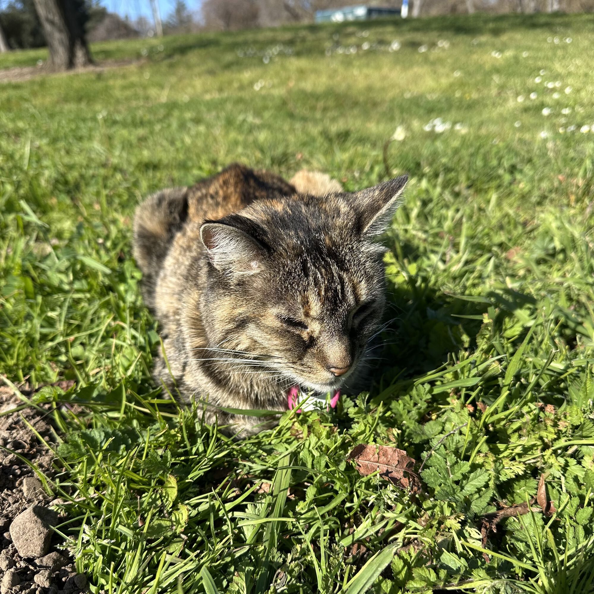 Minnie living her best life