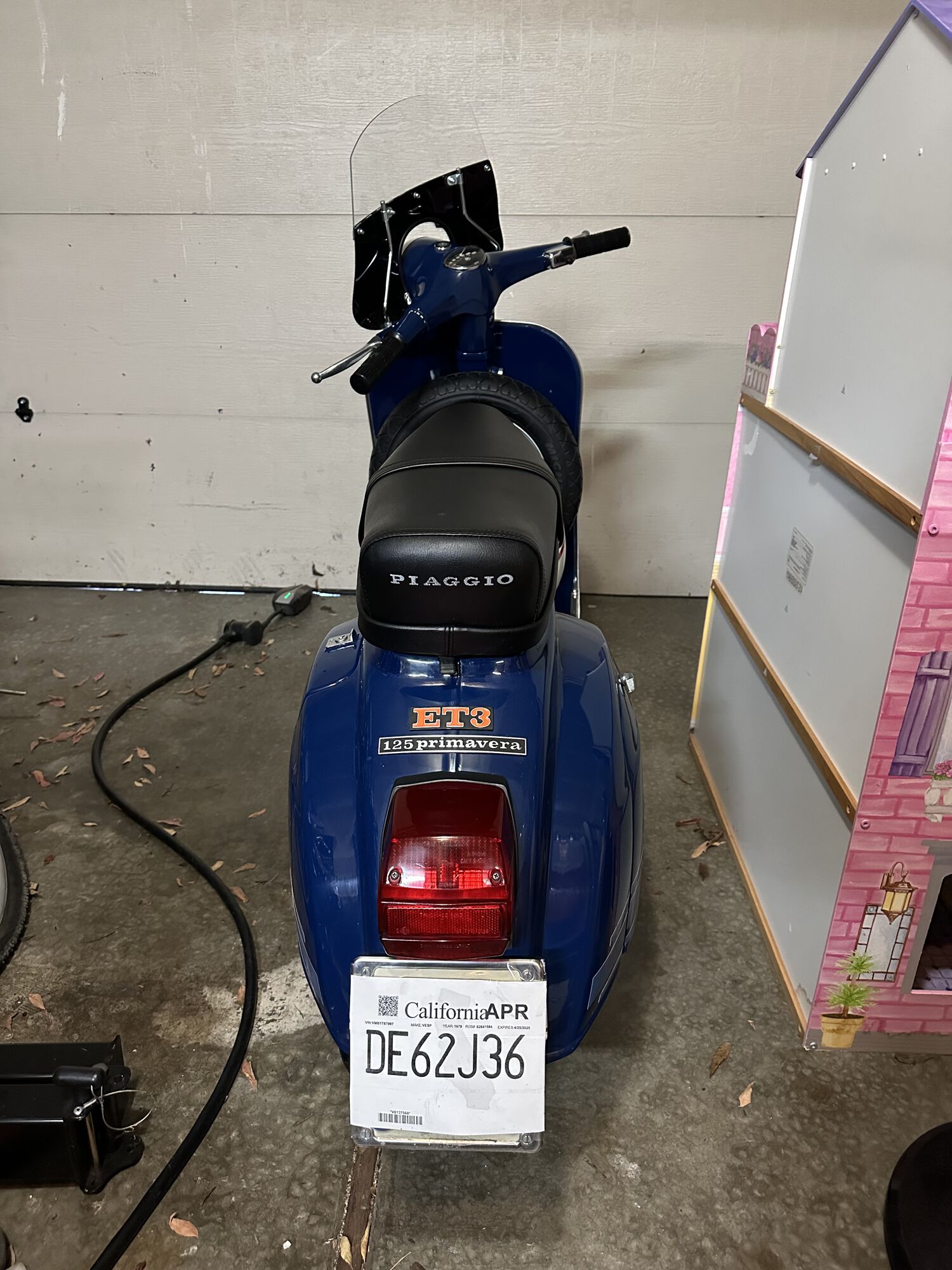 Safe and warm in its new home!