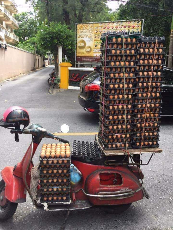 Forum member supplied image with no explanatory text