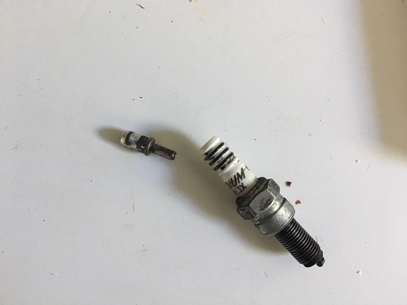 Forum member supplied image with no explanatory text