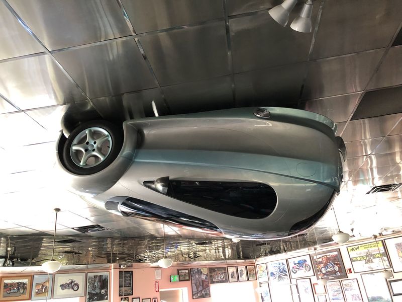 Hanging upside down from the ceiling.