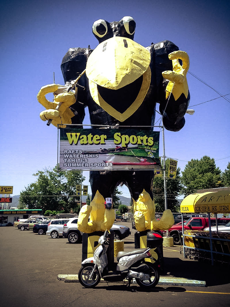 Forum member supplied image with no explanatory text