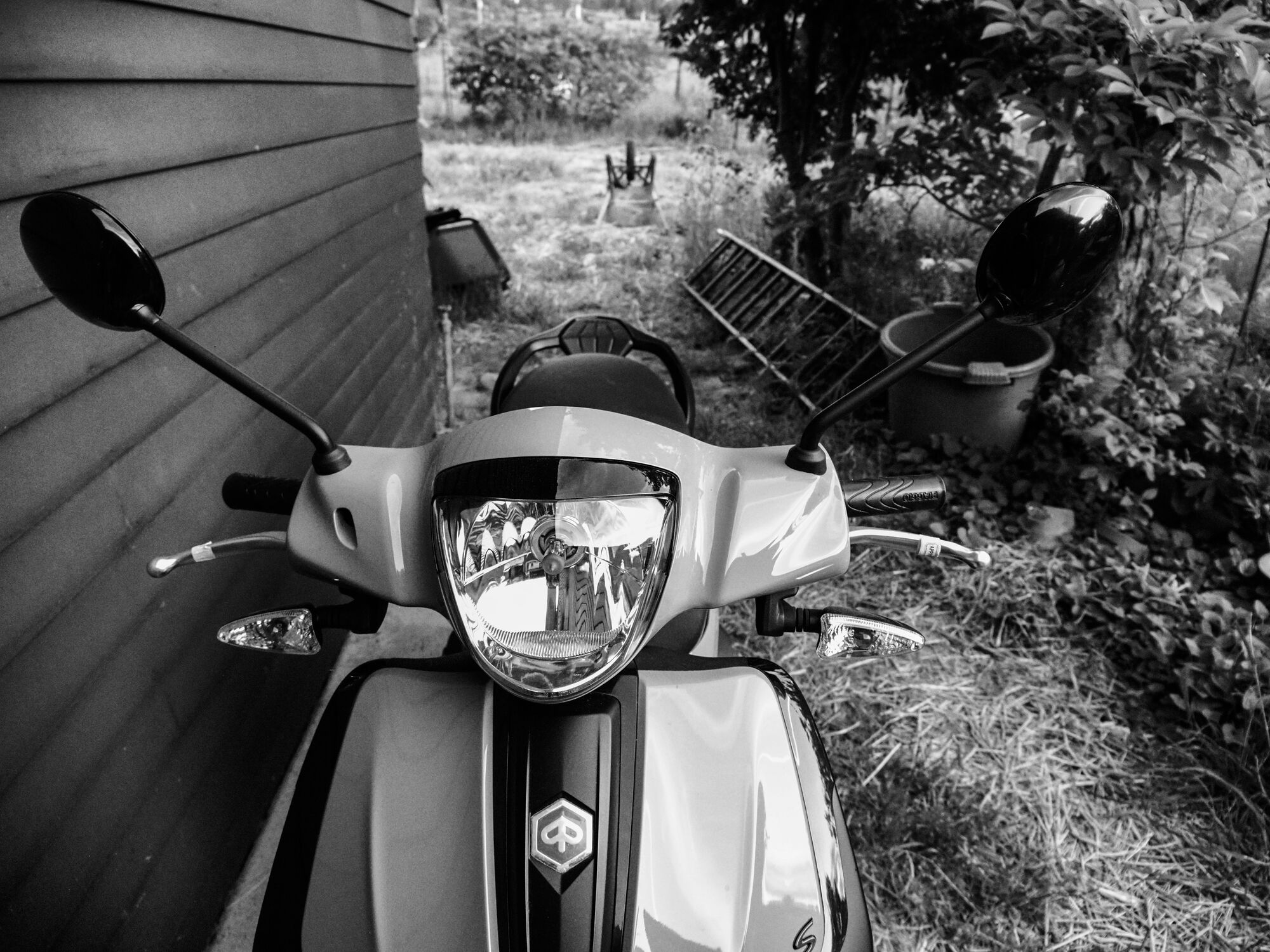 life in monochromatic