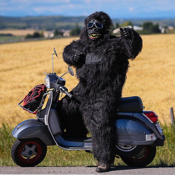 Forum member supplied image with no explanatory text