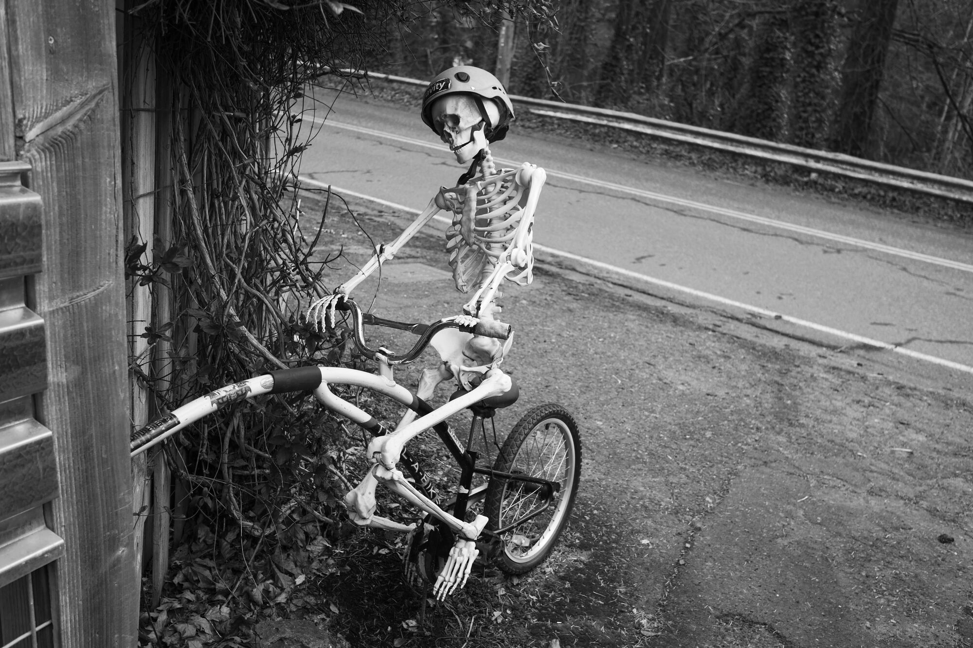 unfortunately his bike seems to have lost one of its wheels somewhere along the ride... anyone seen it?