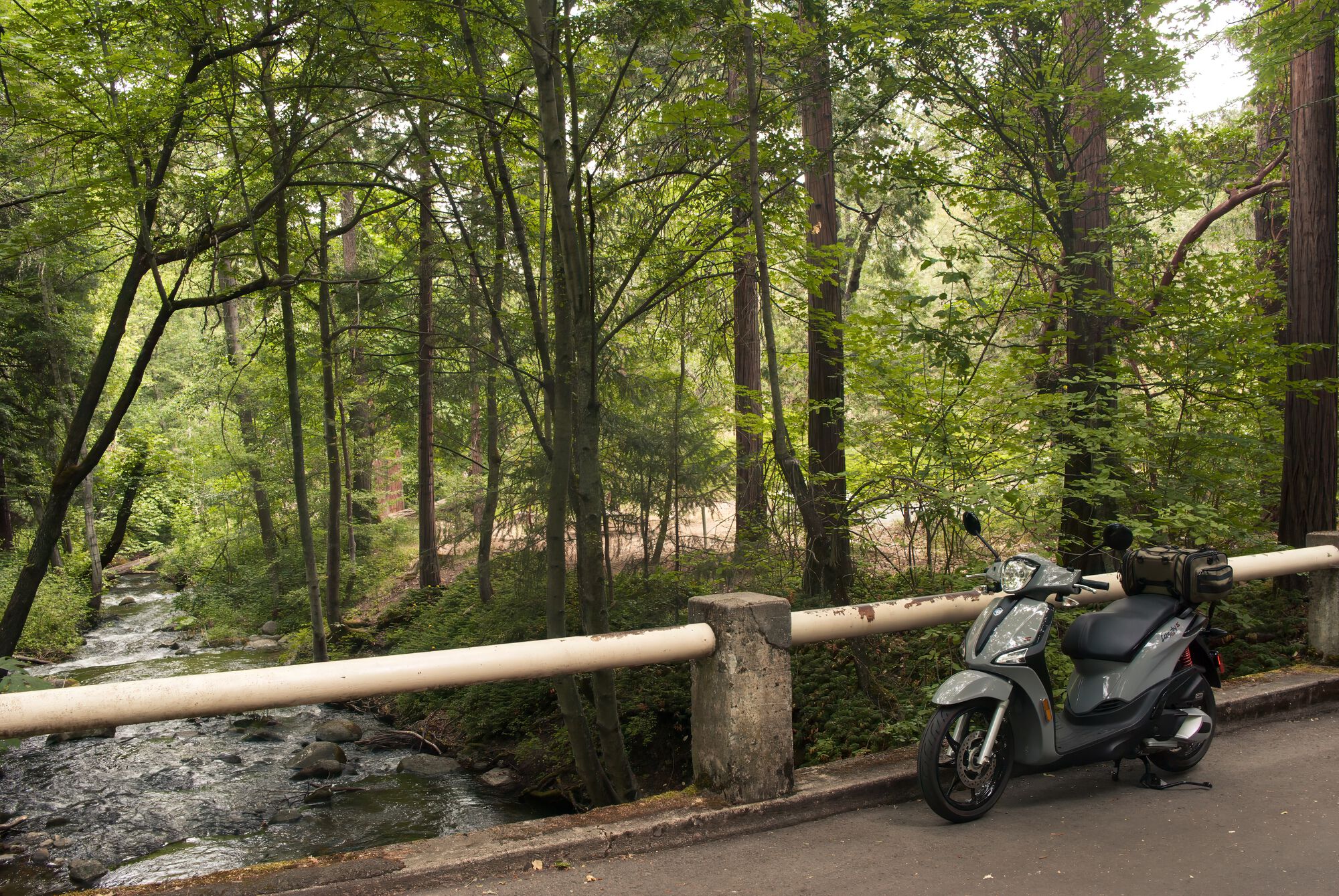 you can spend hours and hours on the many trails that criss-cross the more remote woodlands of the park