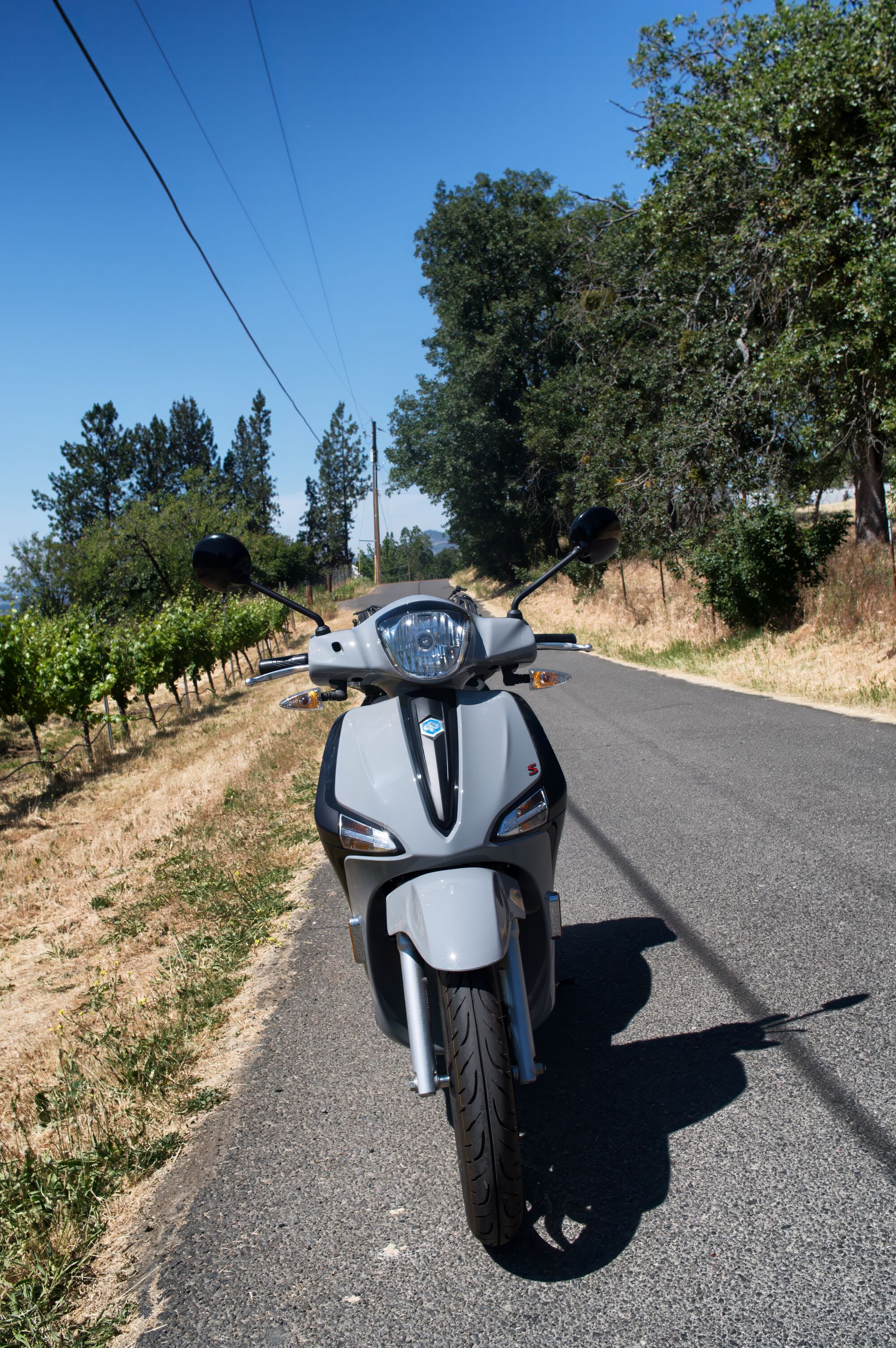 there is close to zero traffic on this rural lane, perhaps a car every 10 minutes or so, the only 'rush hour' is when local birds descend upon freshly-filled bird feeders