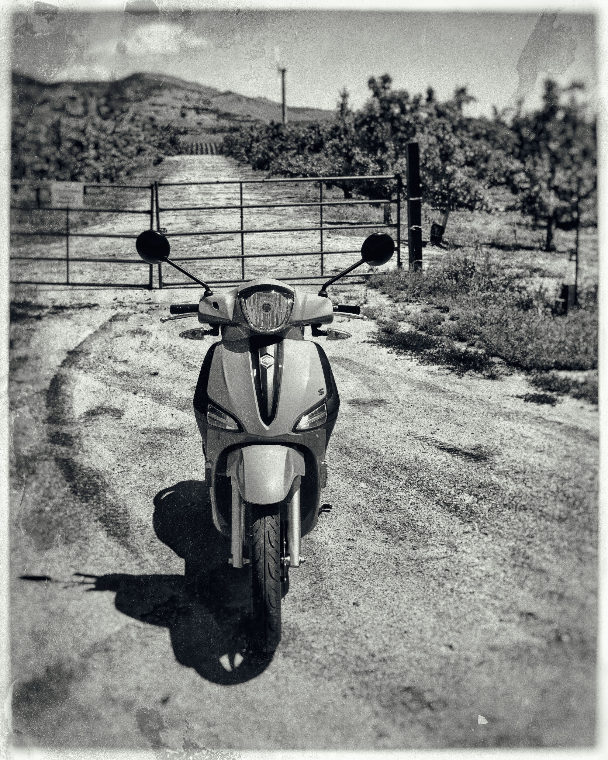 Not your grandfather's Liberty