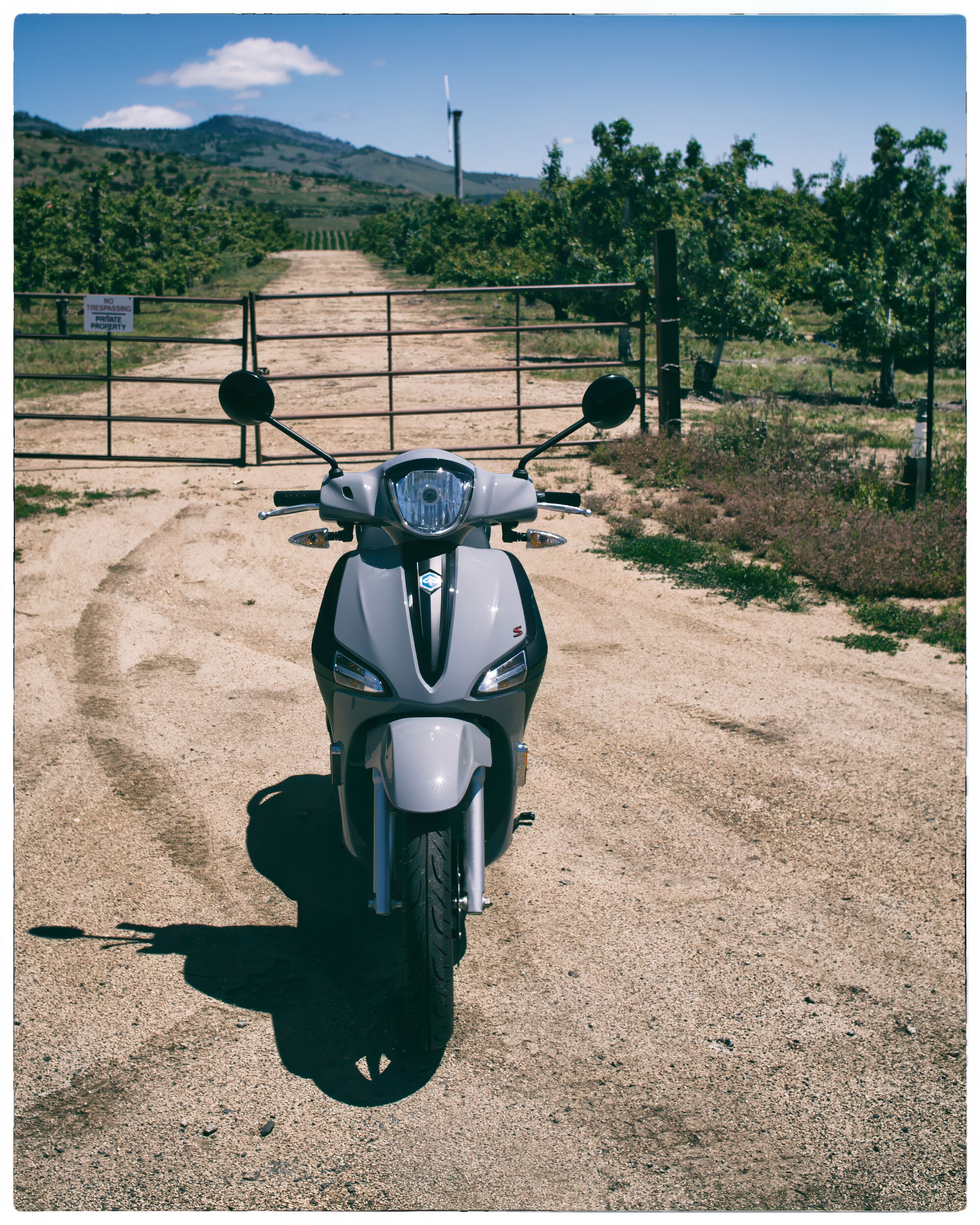 That 'No Trespassing' sign on the orchard gate was specially posted to discougrage disobedient scooters from straying too far off the blacktop