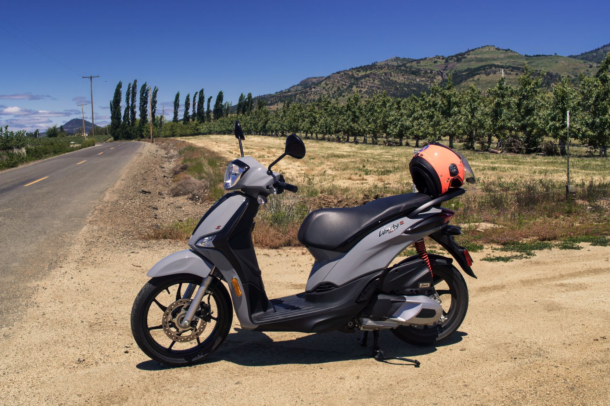 Trees, trees, everywhere...