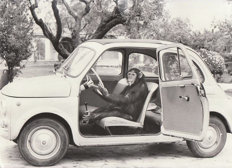 Forum member supplied image with no explanatory text