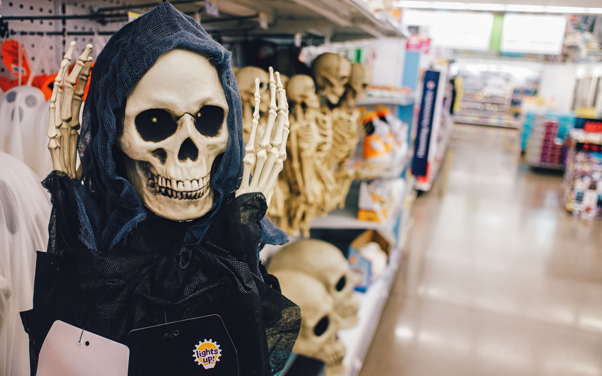 but you can already replenish your almost-life-sized skeleton collection!