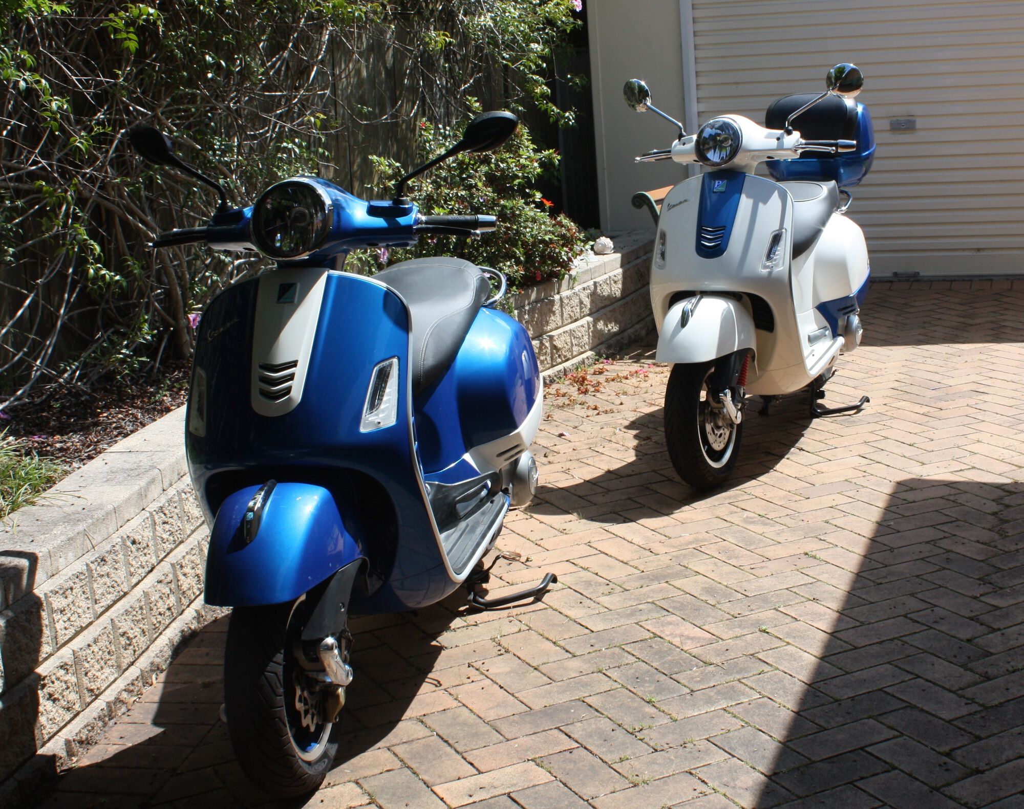 Forum member supplied image with no explanatory text