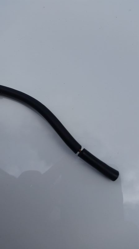 Forum member supplied image with no explanatory text