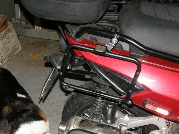 how they look on scoot