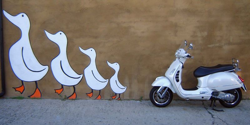 duck, duck, duck, goosed?
