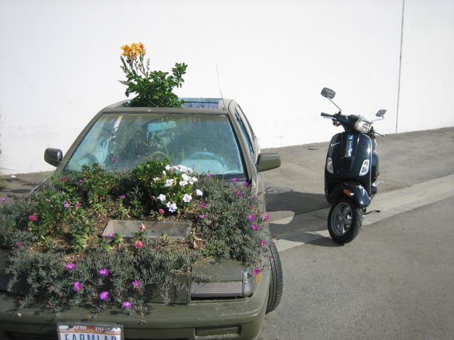 Forum member supplied image with no explanatory text