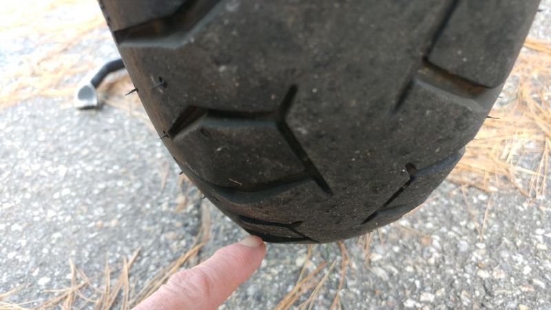 Forum member supplied image with no explanatory text
