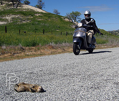 Forum member supplied image with no explanatory text