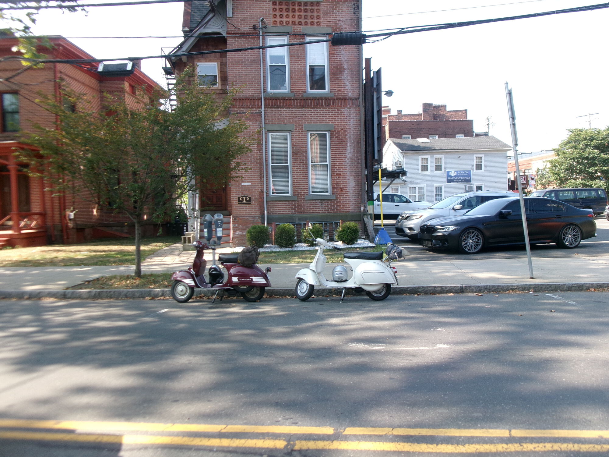New Haven