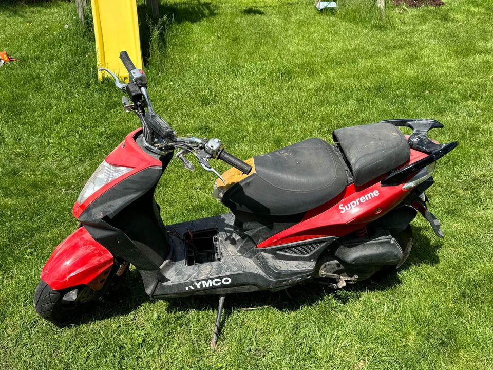 So many photos, it was hard to pick just one to do it justice.