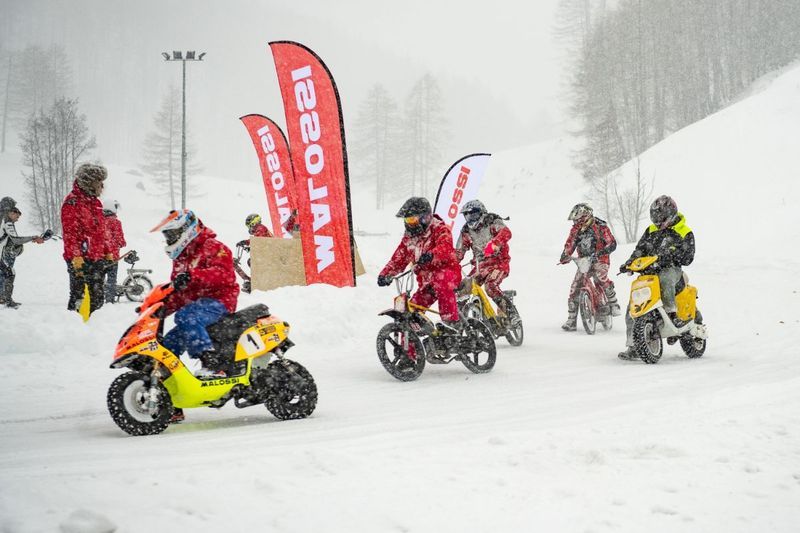 Forum member supplied image with no explanatory text