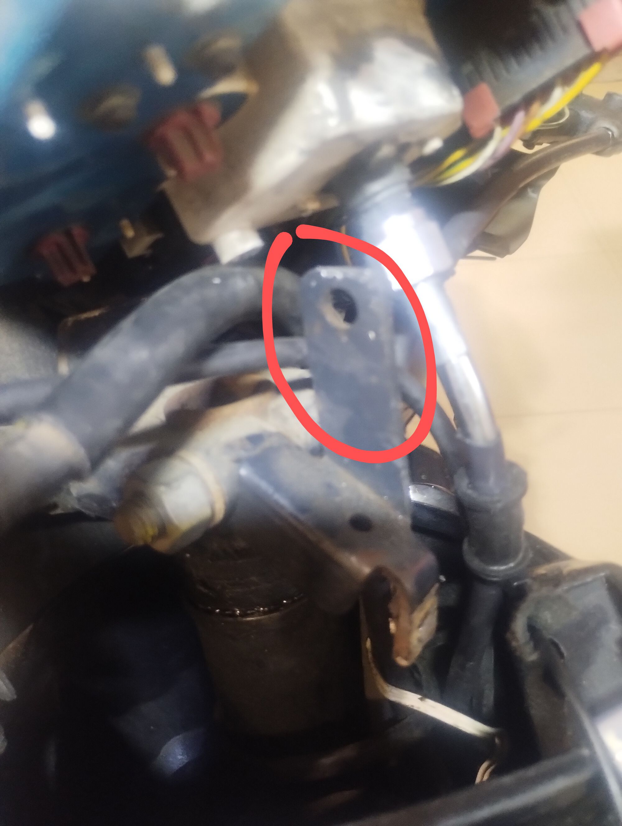 Forum member supplied image with no explanatory text