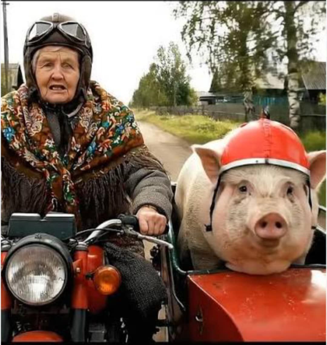 Forum member supplied image with no explanatory text