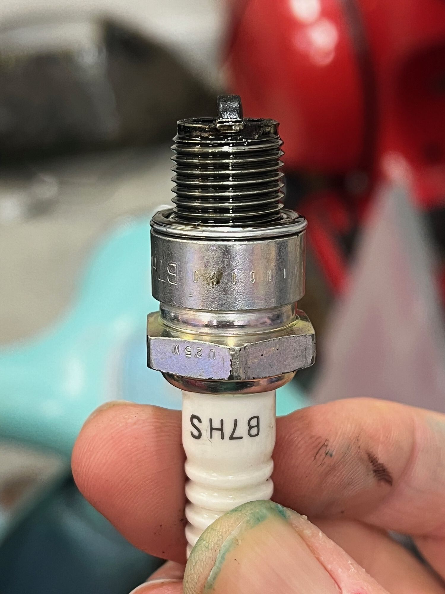 Forum member supplied image with no explanatory text