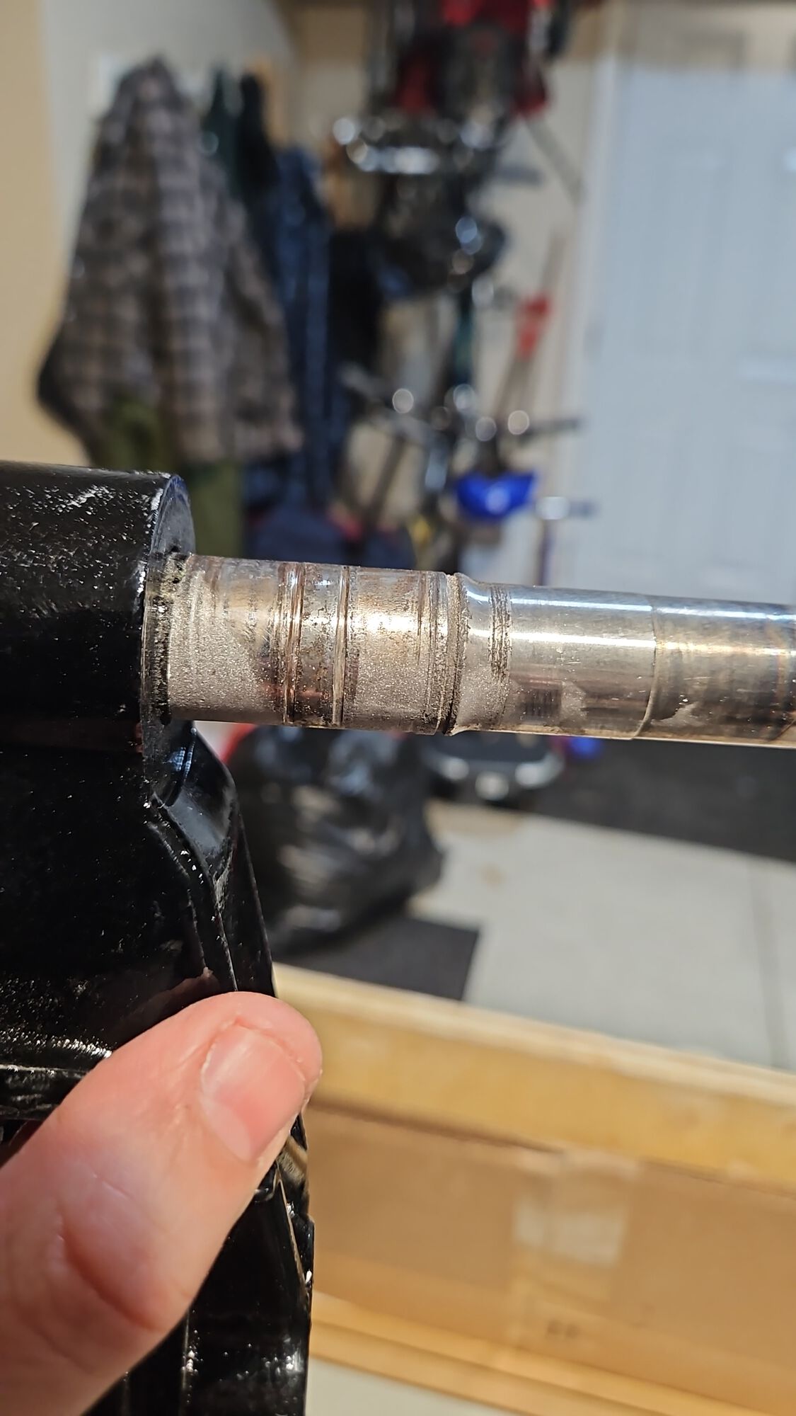 Forum member supplied image with no explanatory text