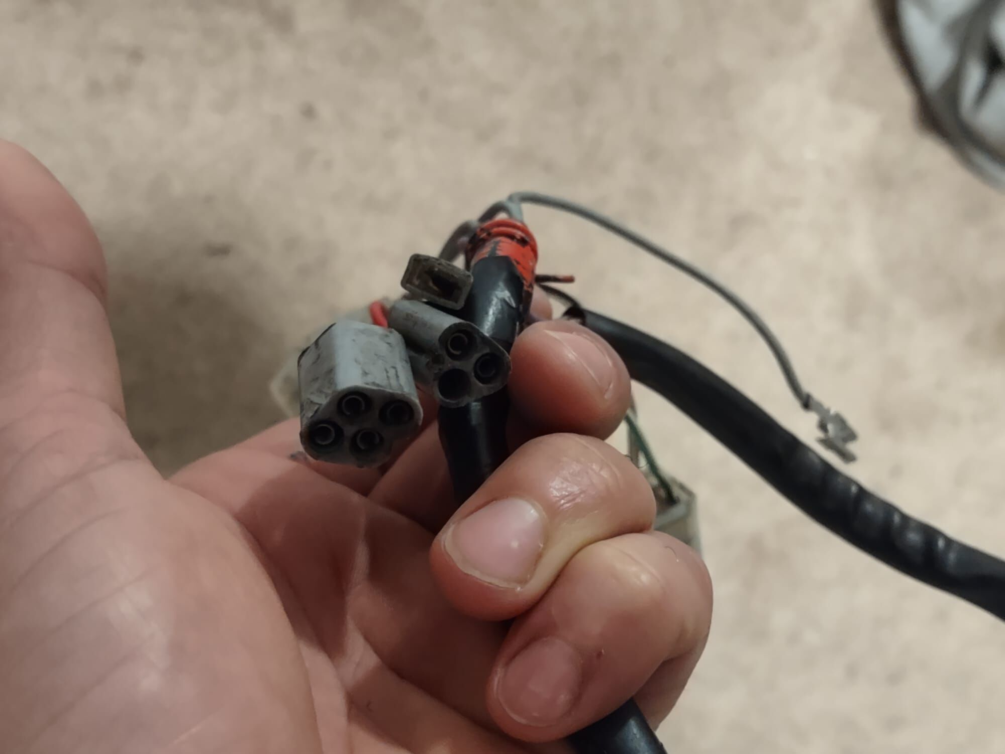 Forum member supplied image with no explanatory text