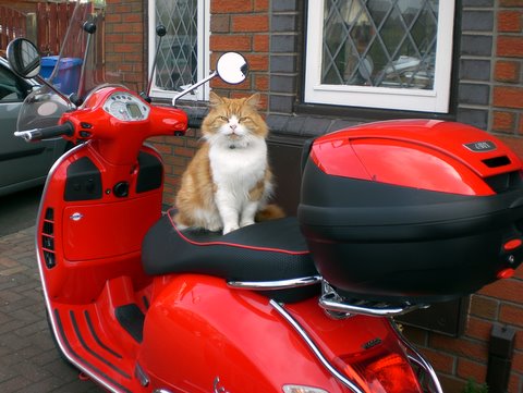 Forum member supplied image with no explanatory text