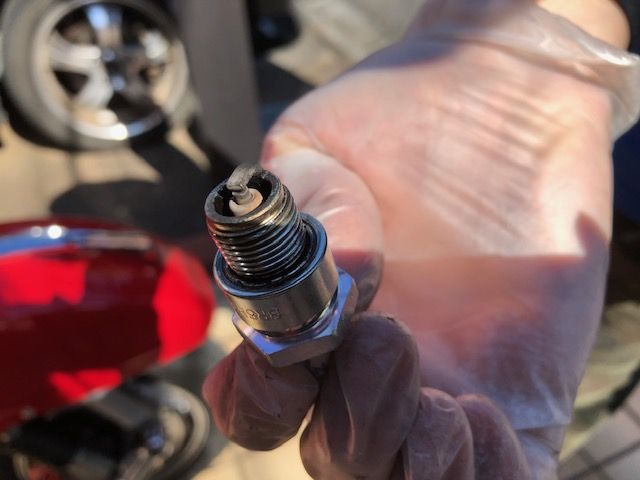 Forum member supplied image with no explanatory text