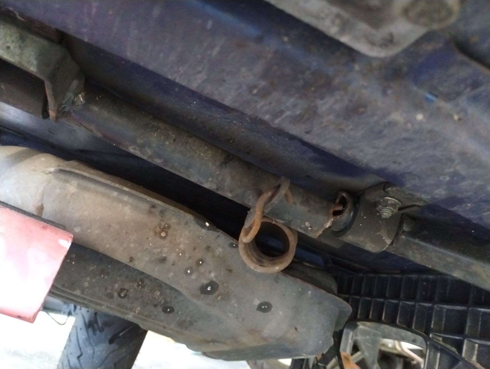 Forum member supplied image with no explanatory text