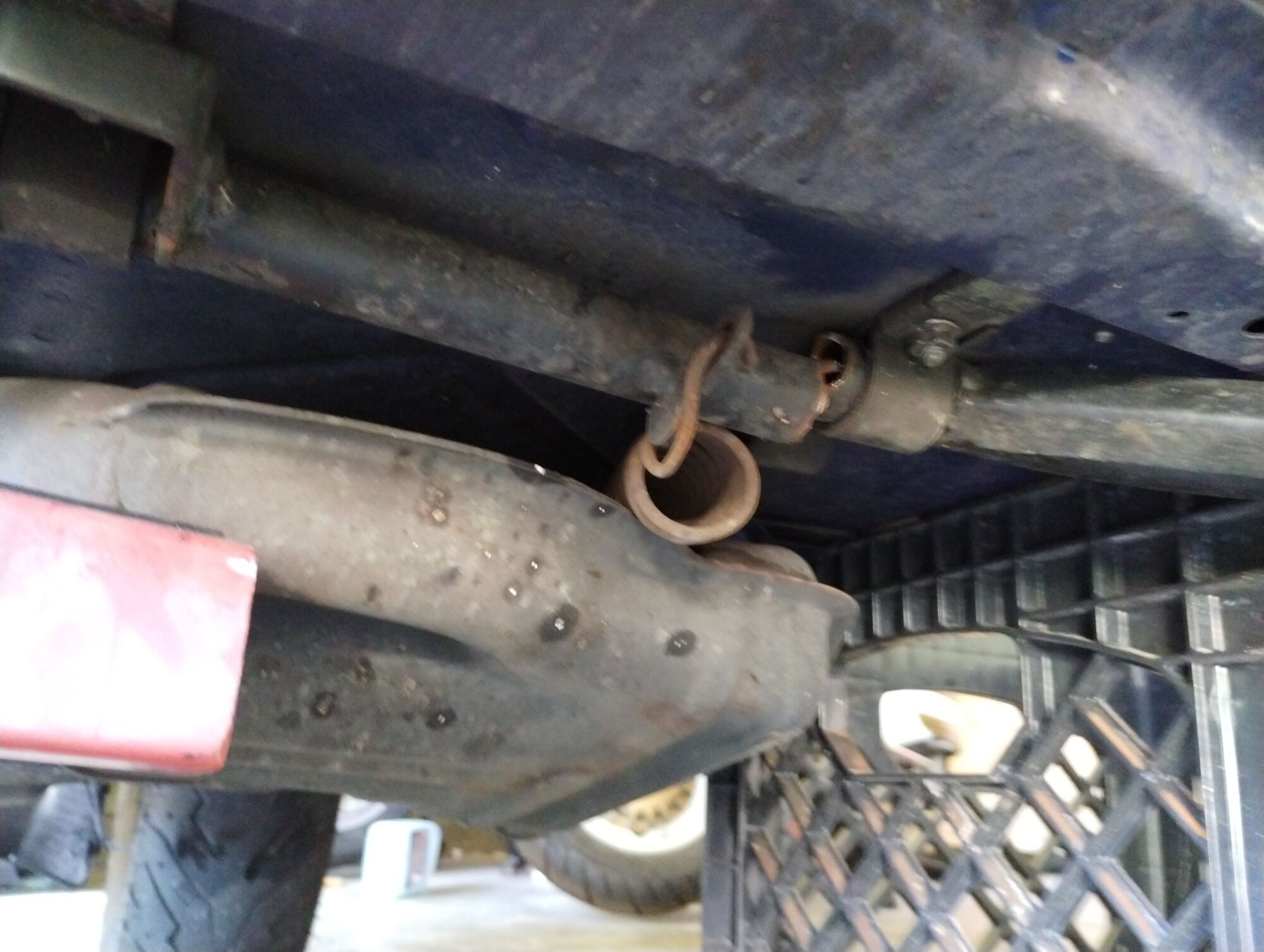 Forum member supplied image with no explanatory text