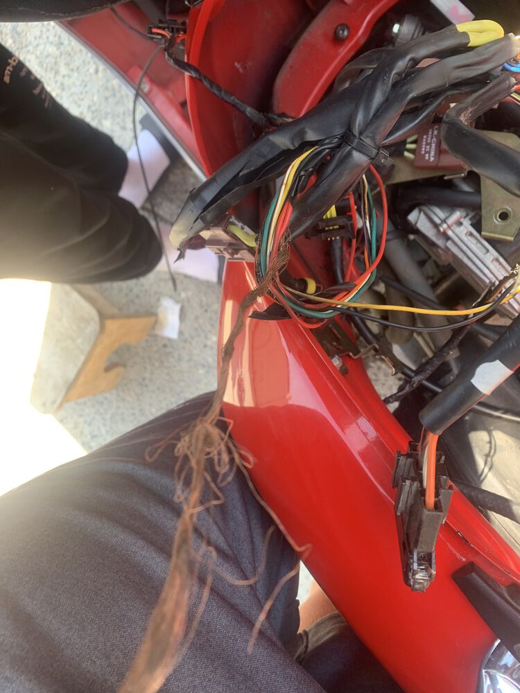 Forum member supplied image with no explanatory text