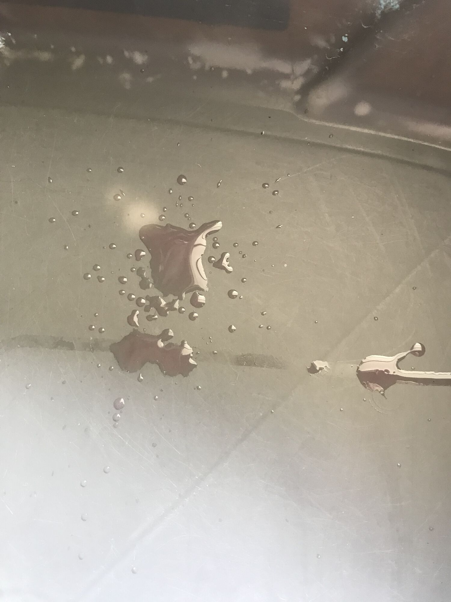 Forum member supplied image with no explanatory text