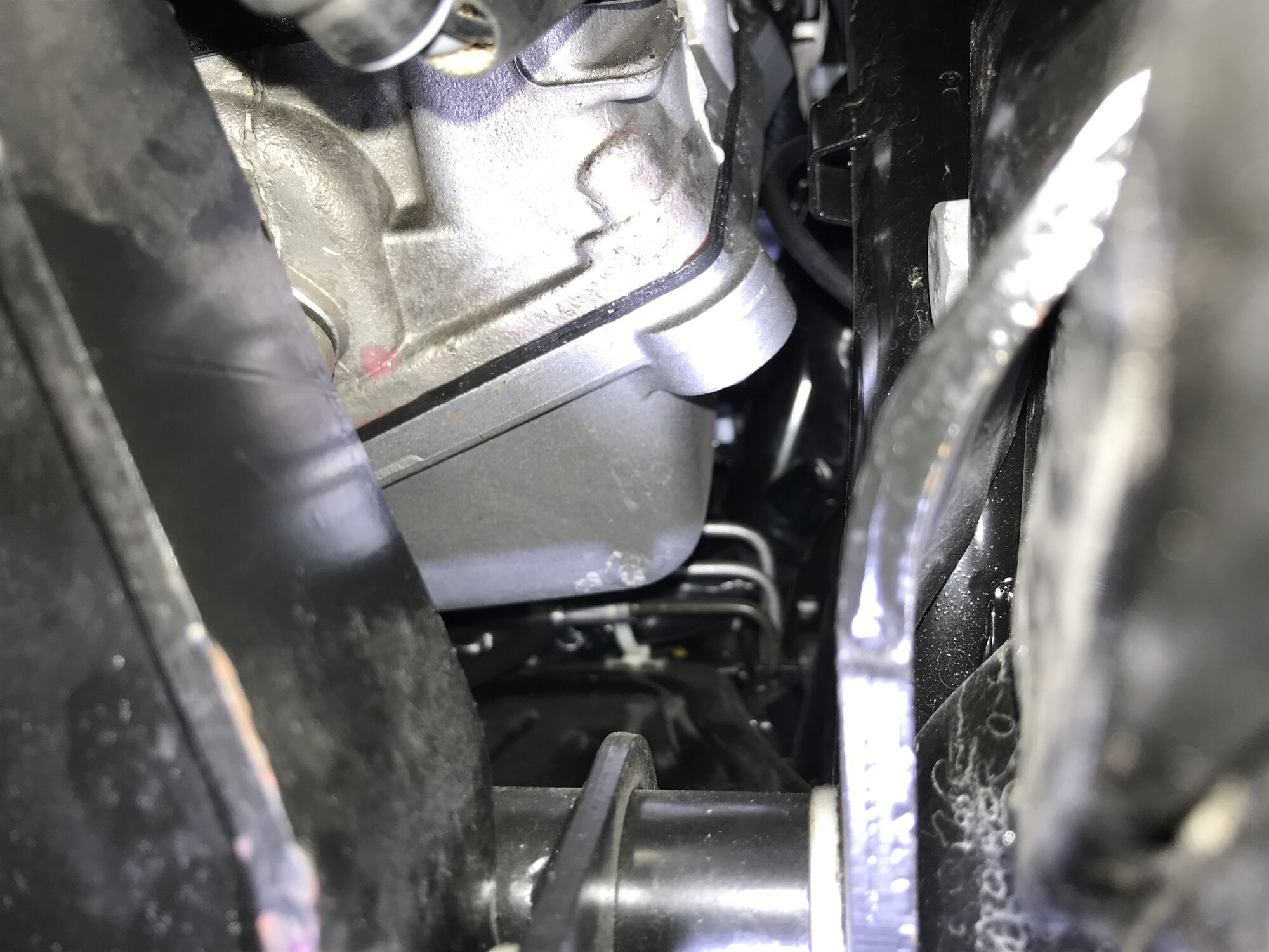 Forum member supplied image with no explanatory text